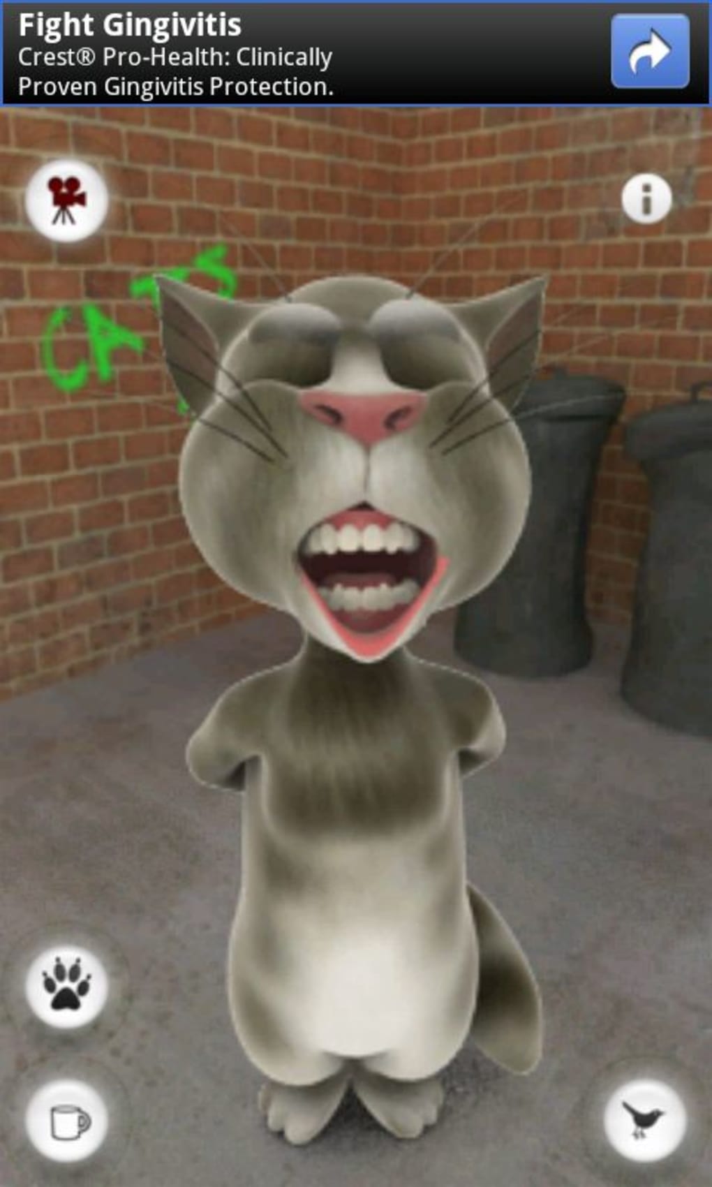 download talking tom cat game